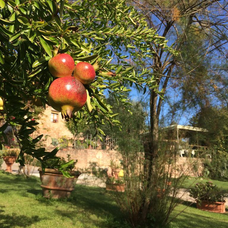 Podere Il Pero Siena Eksteriør billede